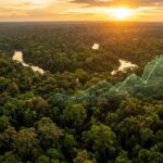 Mercado de carbono no Brasil: como funciona, quem pode investir e o potencial bilionário do setor