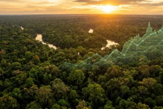 Mercado de carbono no Brasil: como funciona, quem pode investir e o potencial bilionário do setor